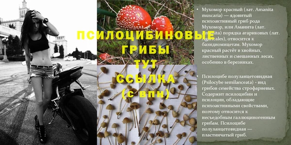 спиды Киренск