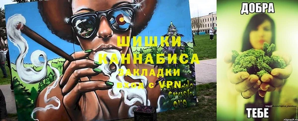 PSILOCYBIN Киреевск