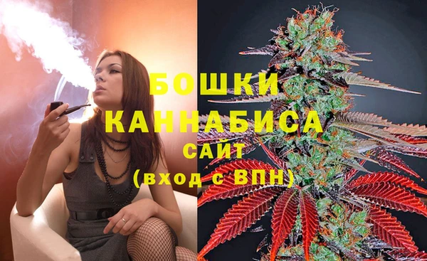 PSILOCYBIN Киреевск