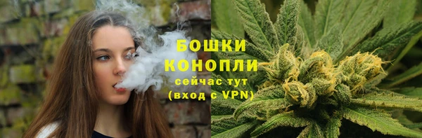 ПСИЛОЦИБИНОВЫЕ ГРИБЫ Козловка