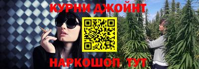 спиды Камышлов