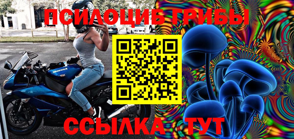 Псилоцибиновые грибы Psilocybe Кстово