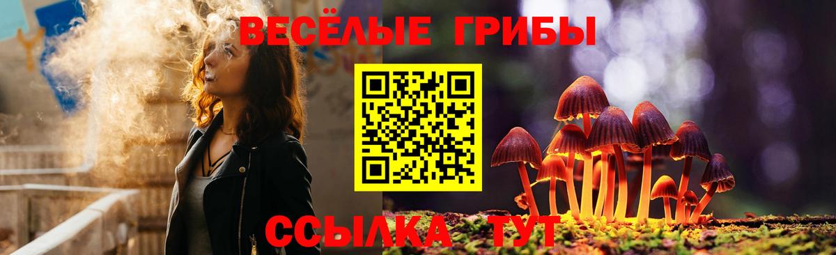Кстово  Галлюциногенные грибы Psilocybe  купить закладку  Вход с VPN 
